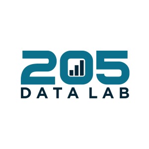 205 Data Lab Logo