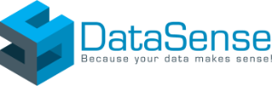 DataSense Logo